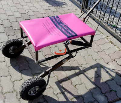 WM 2013 plane Pink