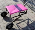WM 2013 plane Pink